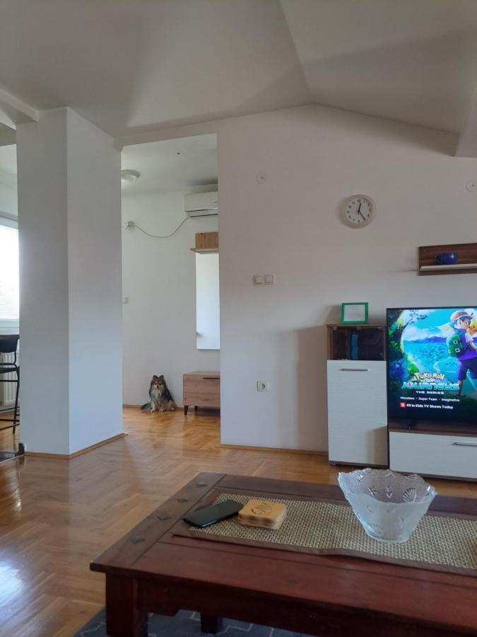 Apartman Zvezdica -Smederevo, Netflix Bagian luar foto