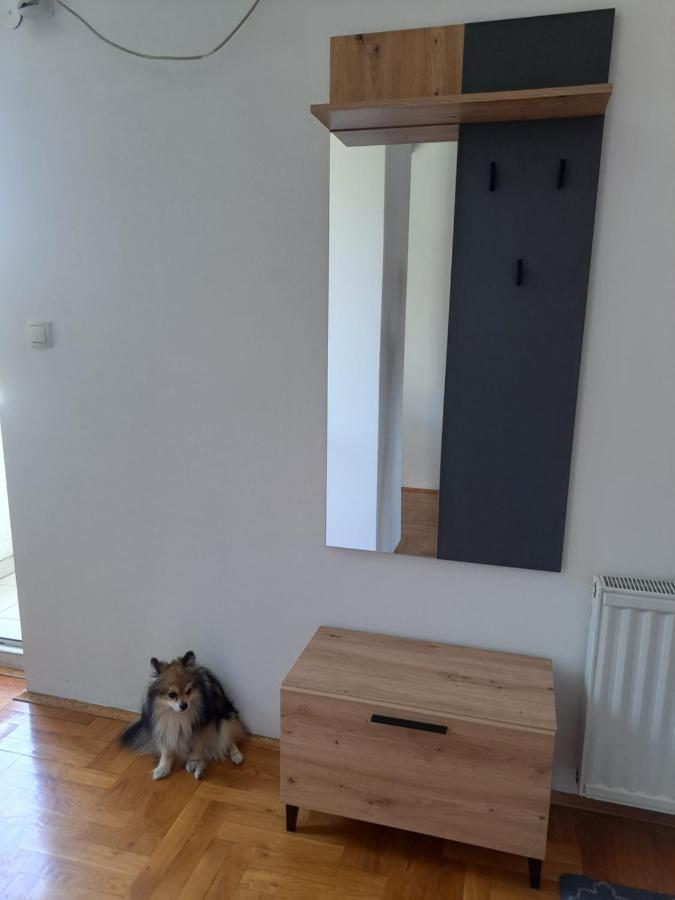 Apartman Zvezdica -Smederevo, Netflix Bagian luar foto