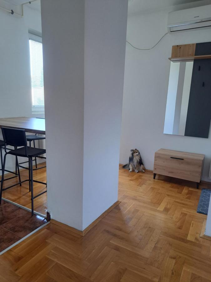 Apartman Zvezdica -Smederevo, Netflix Bagian luar foto